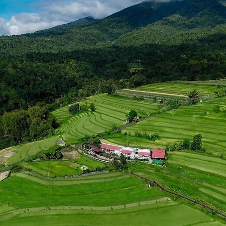 Santya Loka Lodge & Twin Waterfall Desa Desa Jatiluwih Exteriör bild