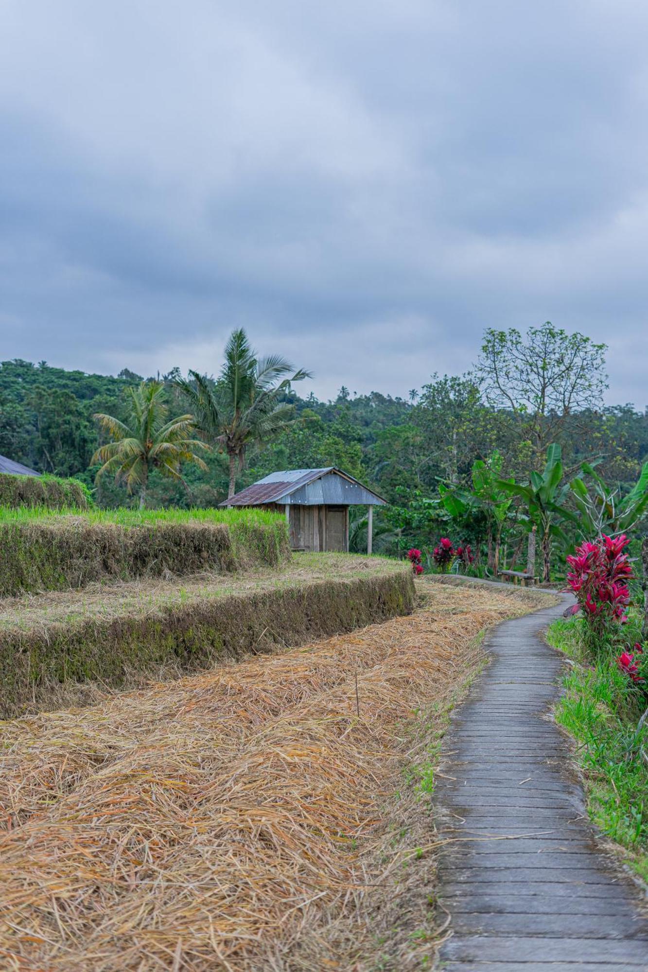 Santya Loka Lodge & Twin Waterfall Desa Desa Jatiluwih Exteriör bild