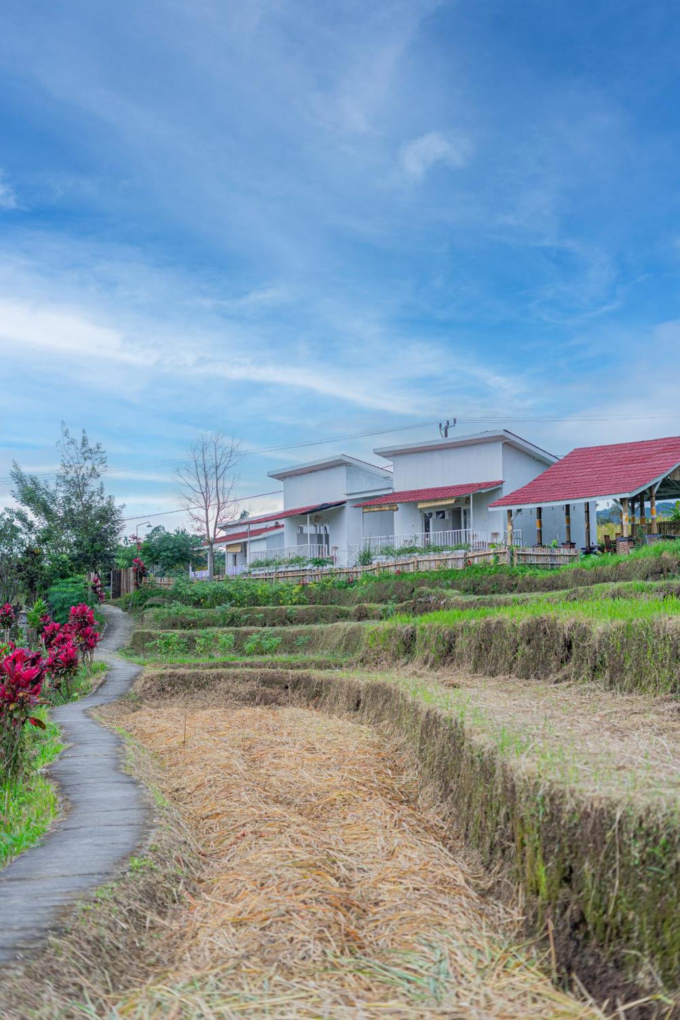 Santya Loka Lodge & Twin Waterfall Desa Desa Jatiluwih Exteriör bild