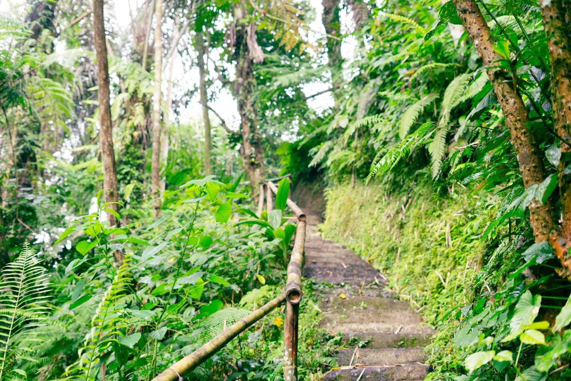 Santya Loka Lodge & Twin Waterfall Desa Desa Jatiluwih Exteriör bild