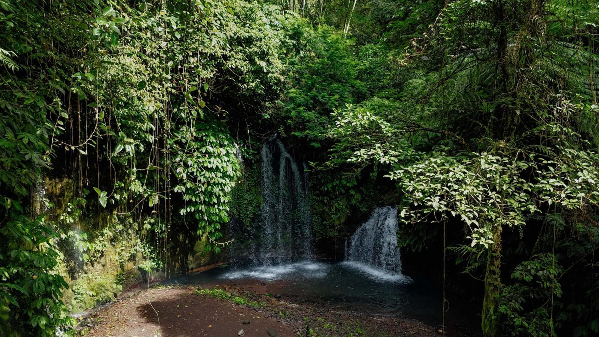 Santya Loka Lodge & Twin Waterfall Desa Desa Jatiluwih Exteriör bild