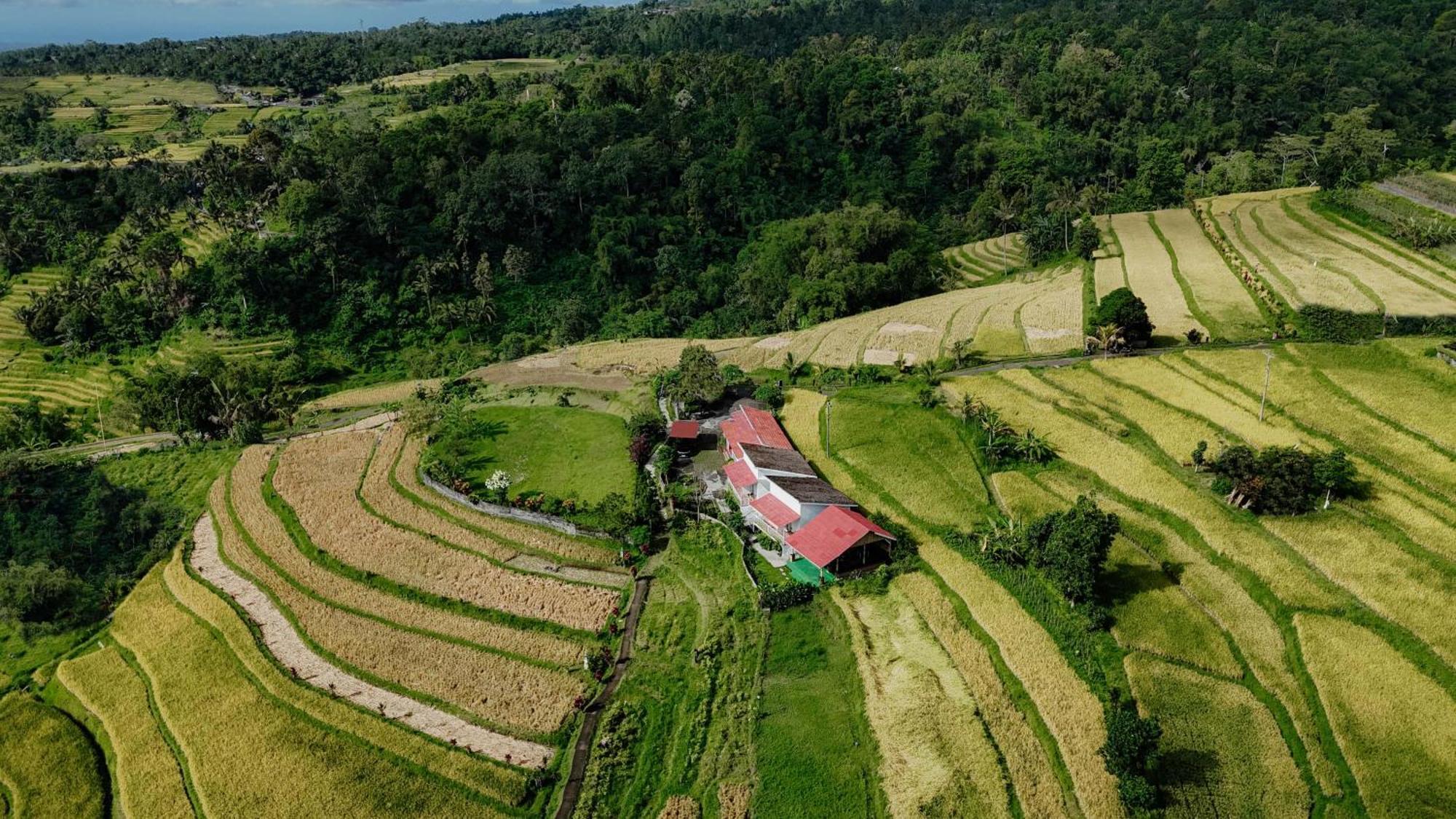 Santya Loka Lodge & Twin Waterfall Desa Desa Jatiluwih Exteriör bild