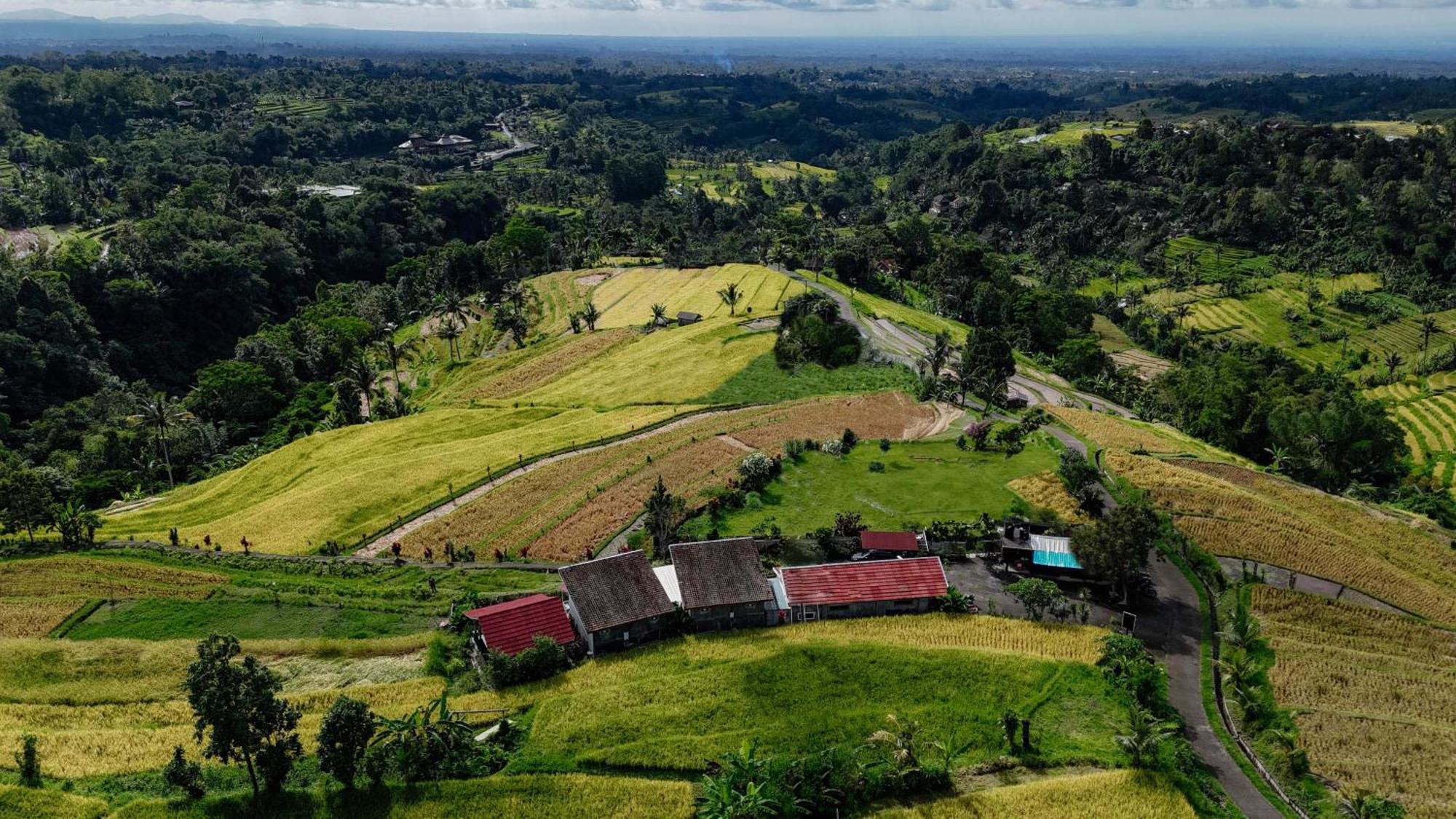 Santya Loka Lodge & Twin Waterfall Desa Desa Jatiluwih Exteriör bild
