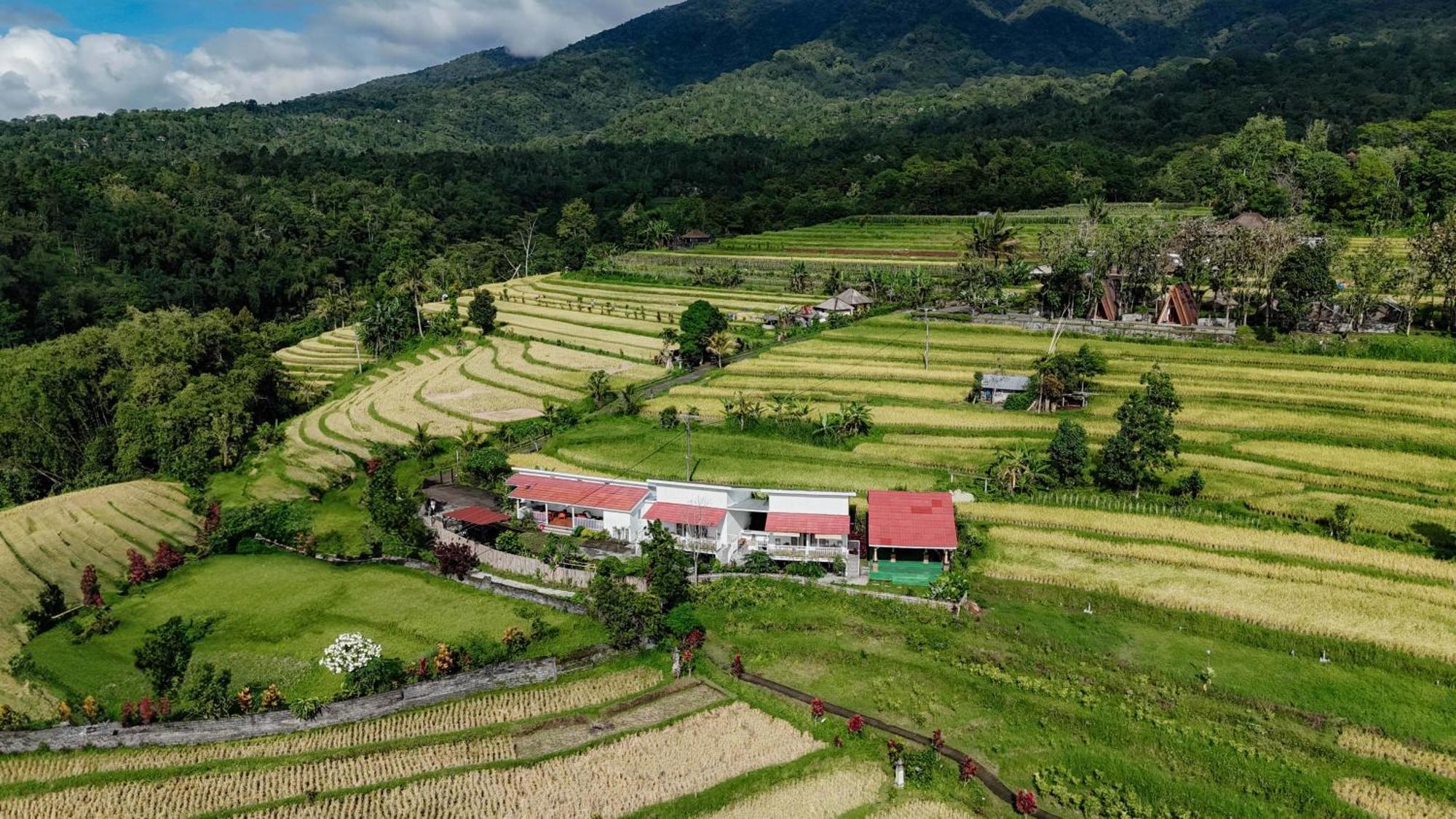 Santya Loka Lodge & Twin Waterfall Desa Desa Jatiluwih Exteriör bild