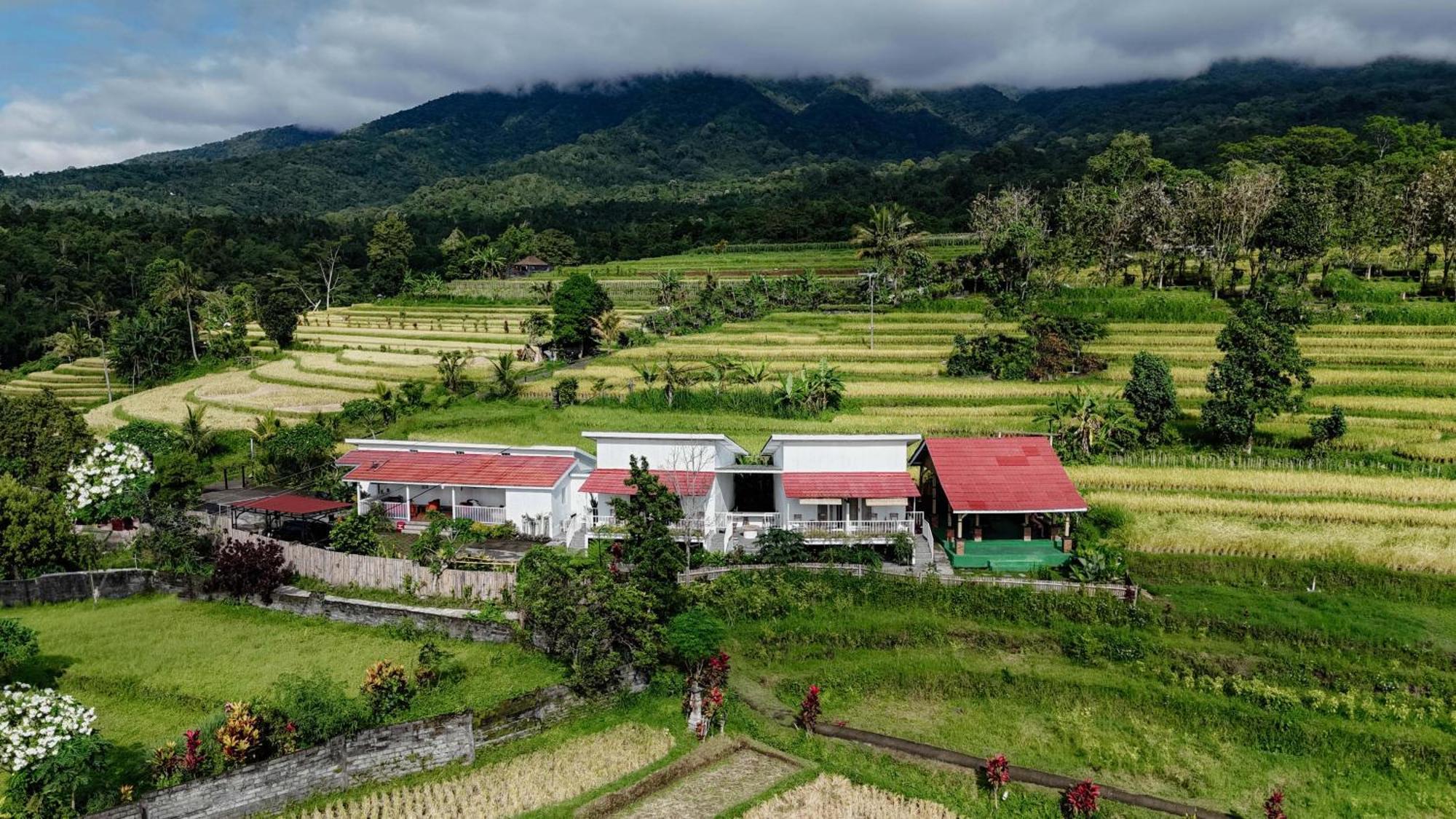 Santya Loka Lodge & Twin Waterfall Desa Desa Jatiluwih Exteriör bild