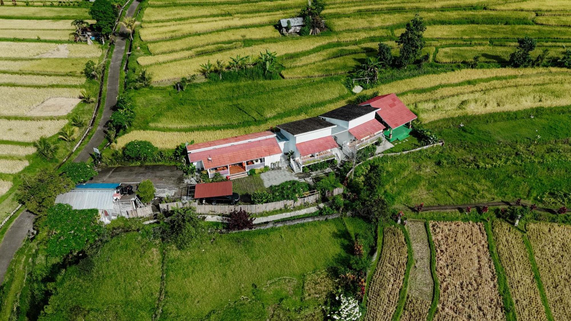 Santya Loka Lodge & Twin Waterfall Desa Desa Jatiluwih Exteriör bild