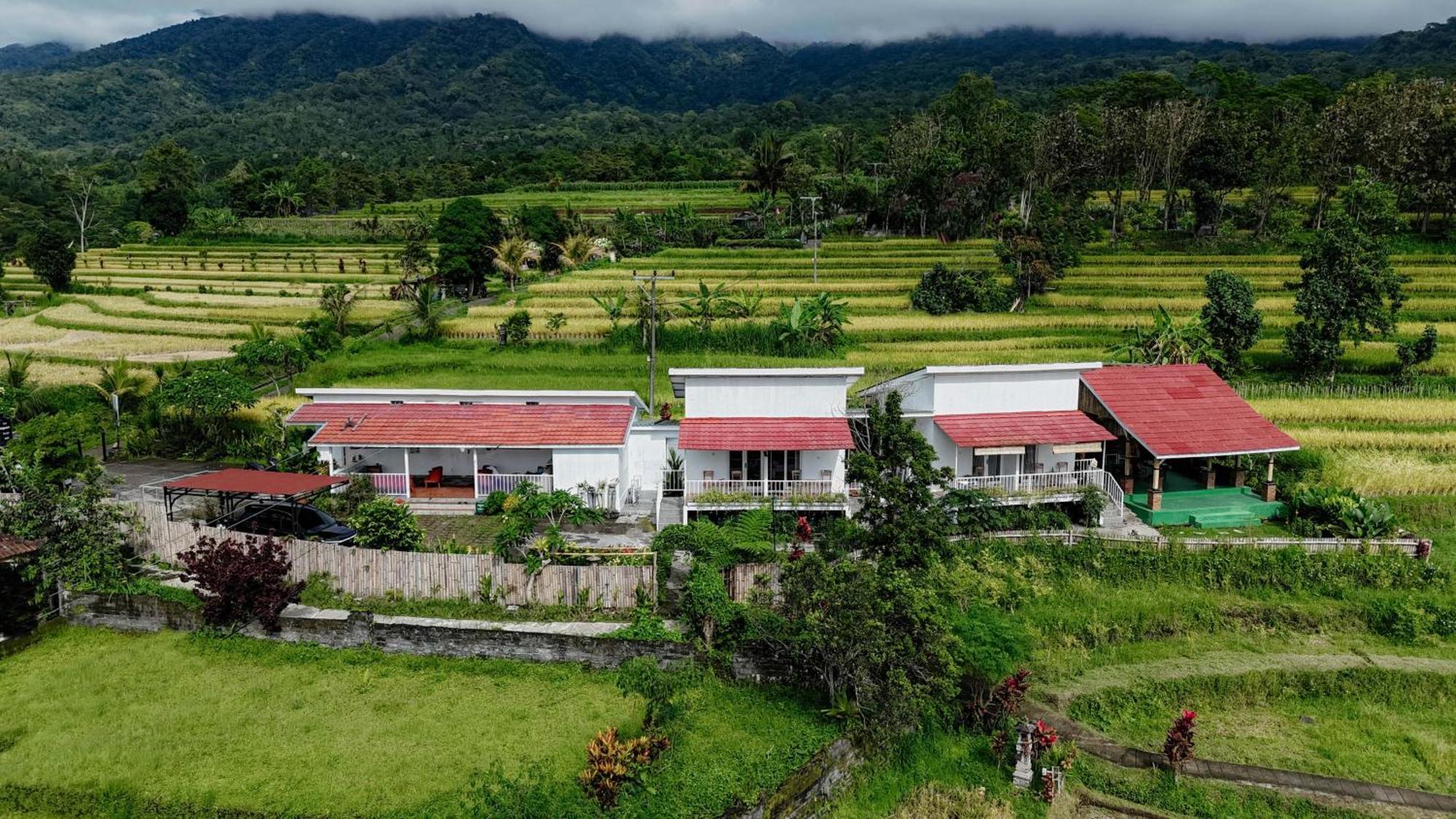Santya Loka Lodge & Twin Waterfall Desa Desa Jatiluwih Exteriör bild