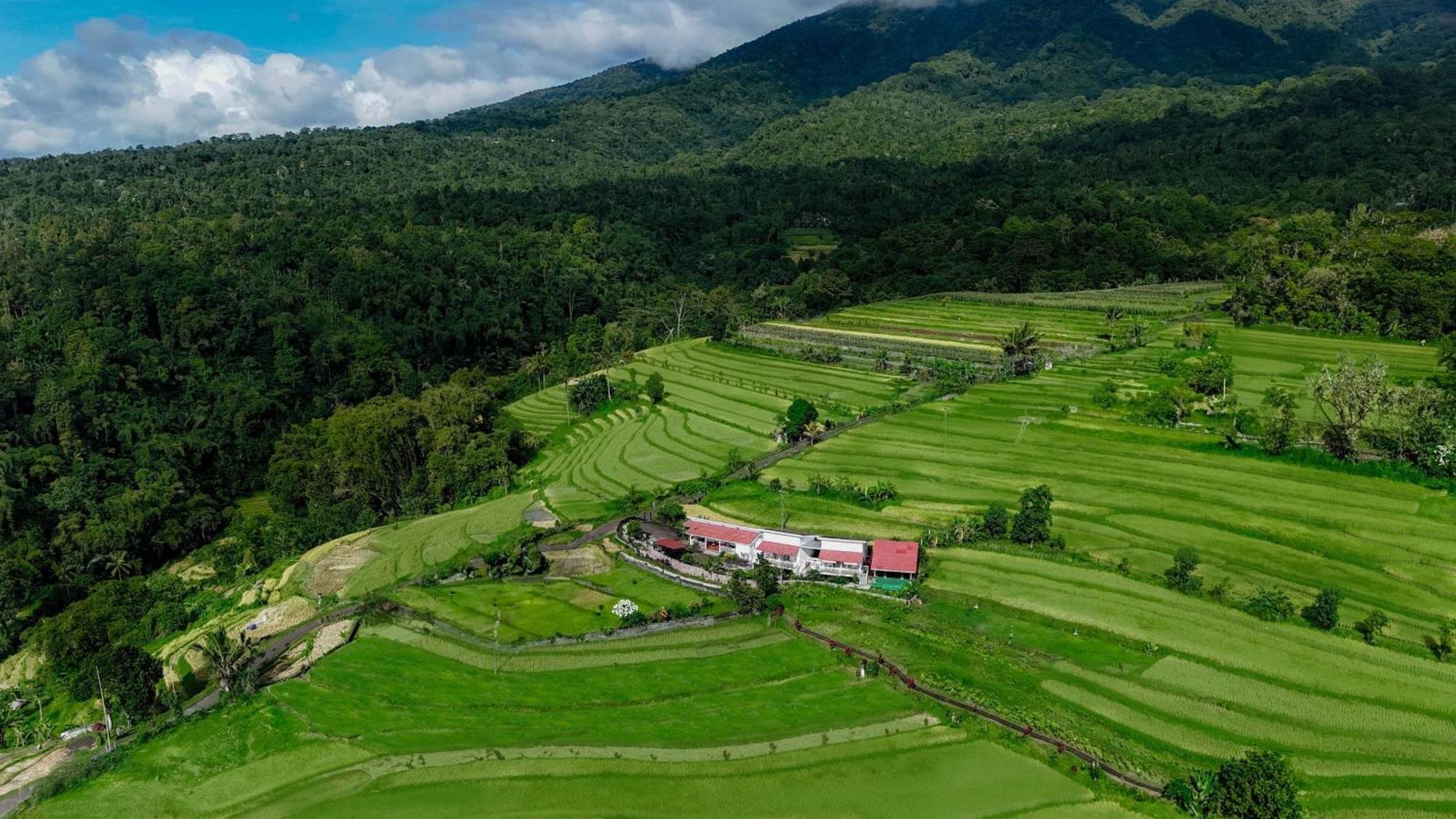 Santya Loka Lodge & Twin Waterfall Desa Desa Jatiluwih Exteriör bild